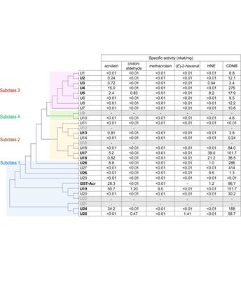 Detoxification of Reactive Carbonyl Species by Glutathione Transferase Tau Isozymes